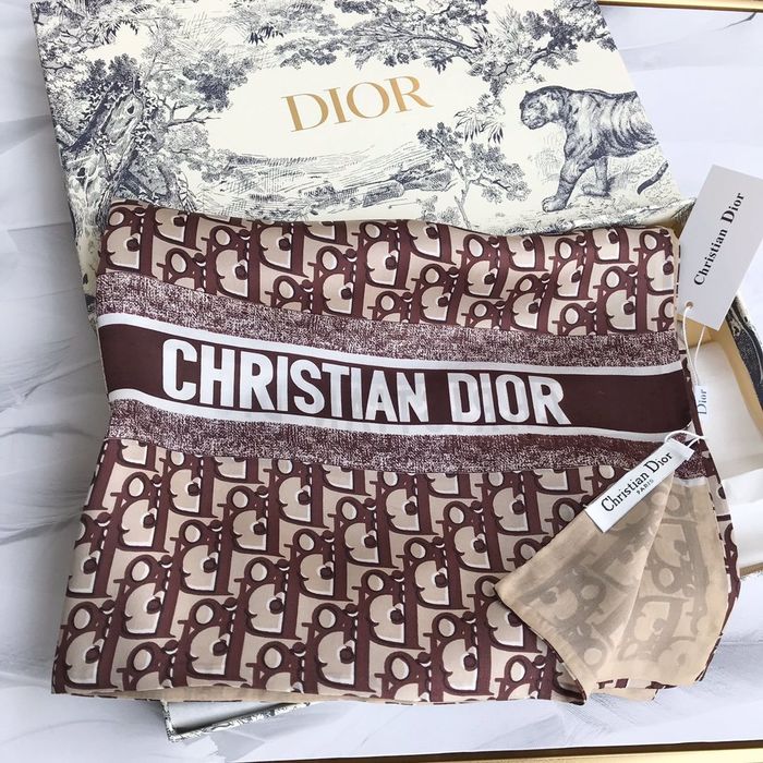 Dior Scarf DIS00073