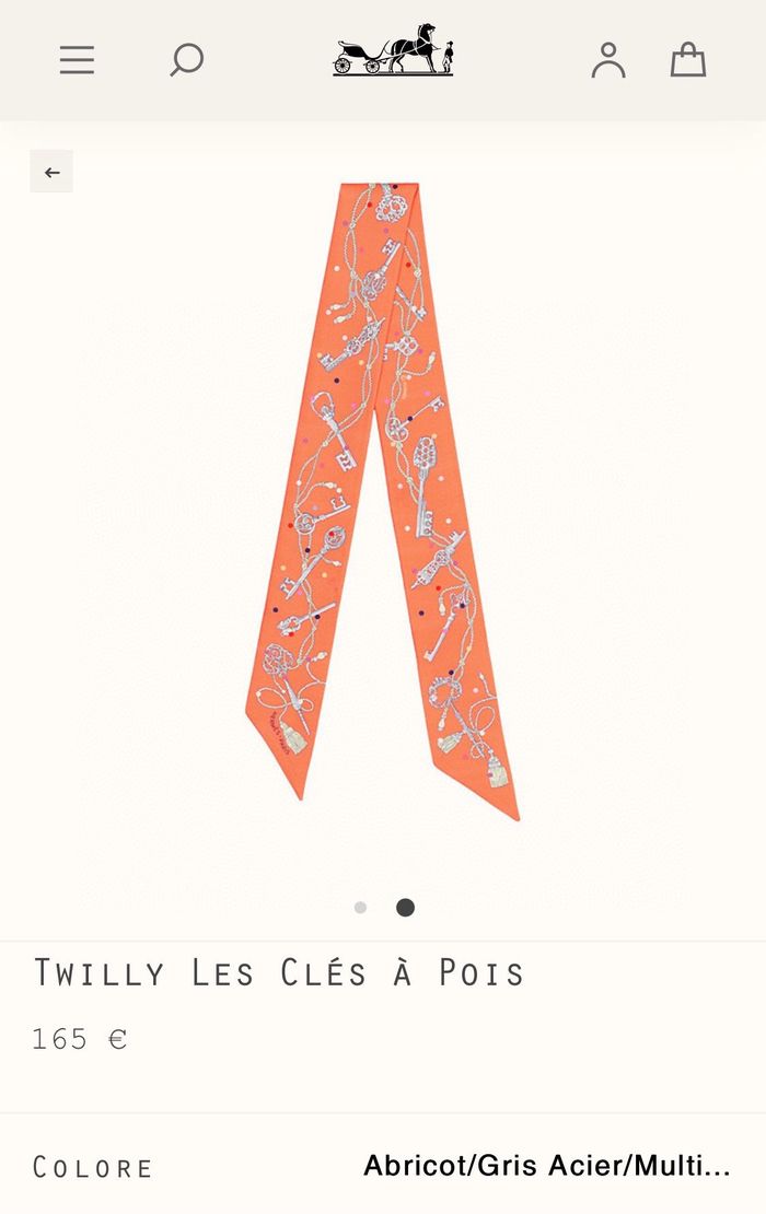 Hermes Scarf HMS00029