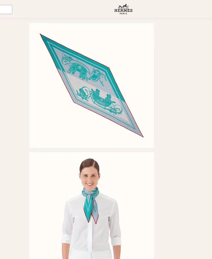 Hermes Scarf HMS00055