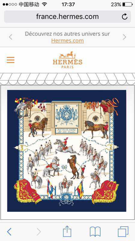 Hermes Scarf HMS00176