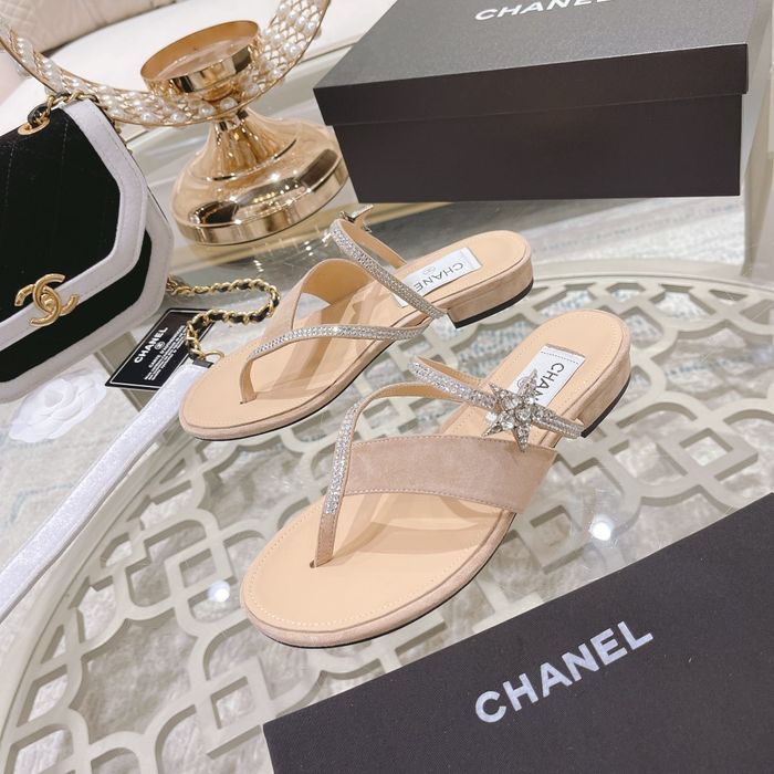 Chanel Shoes CHS00249