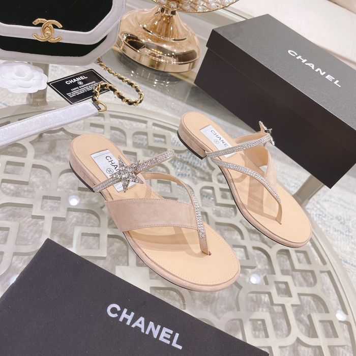 Chanel Shoes CHS00249