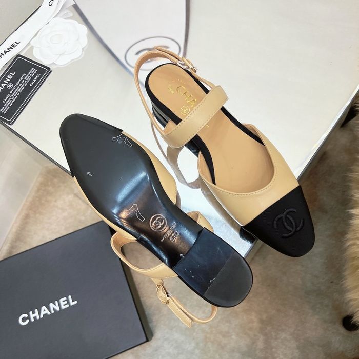 Chanel Shoes CHS00290