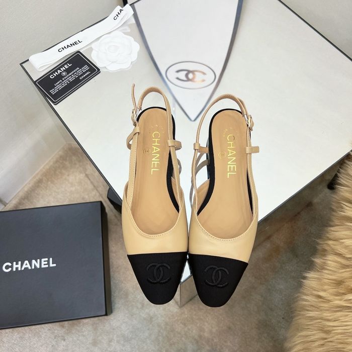 Chanel Shoes CHS00293