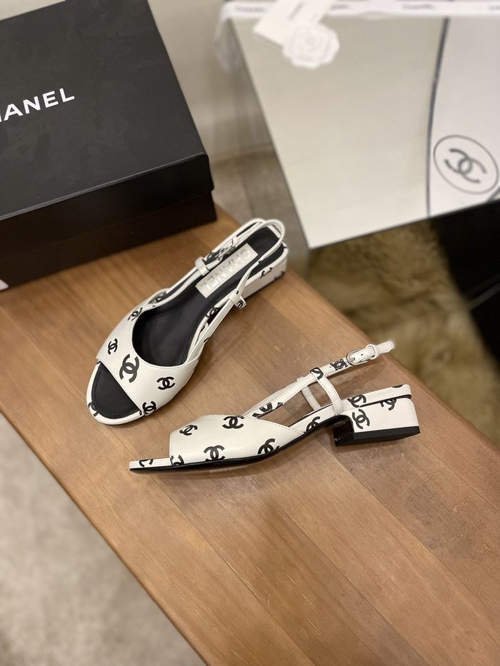 Chanel Shoes CHS00461
