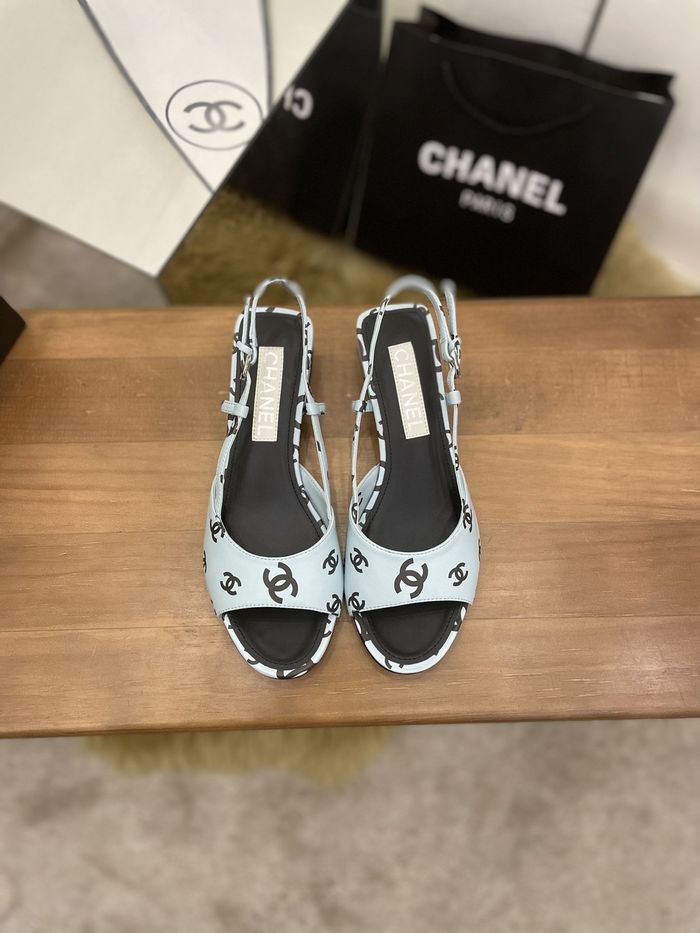 Chanel Shoes CHS00463