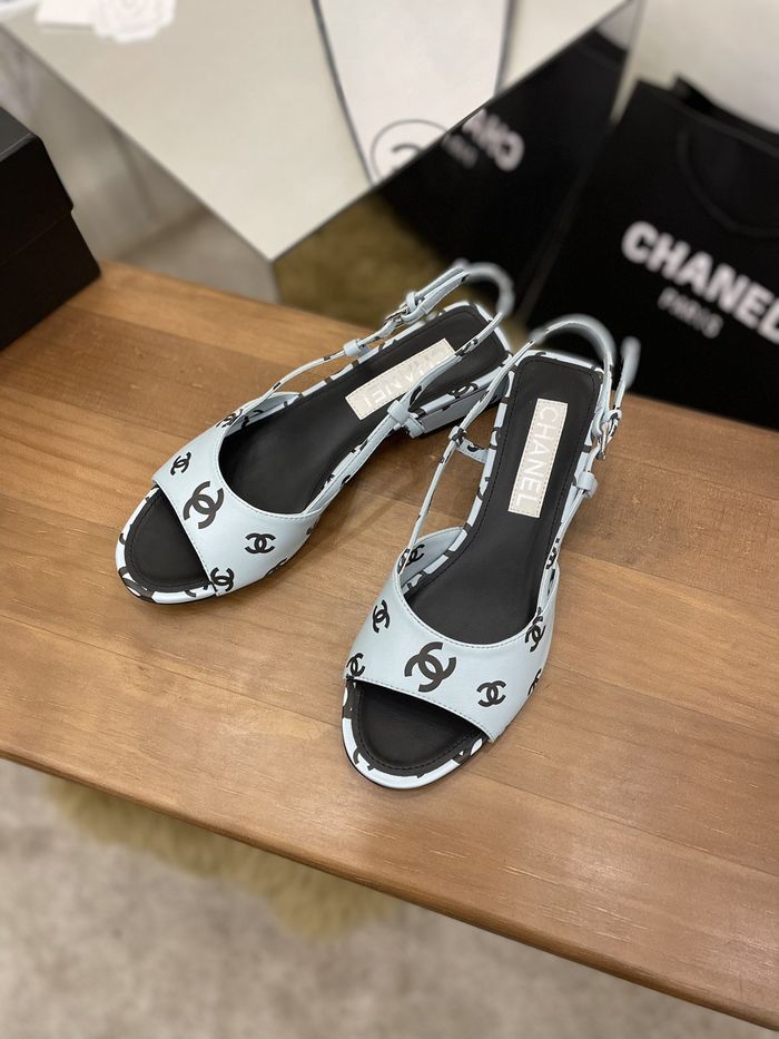 Chanel Shoes CHS00463