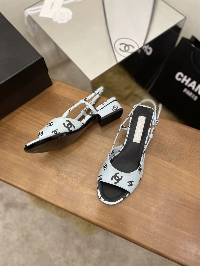 Chanel Shoes CHS00463