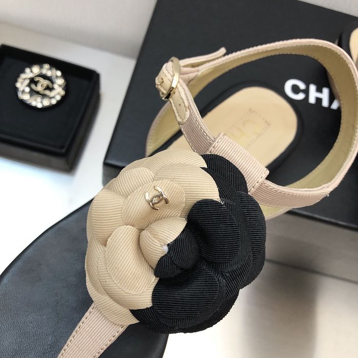 Chanel Shoes CHS00538 Heel 2.5CM