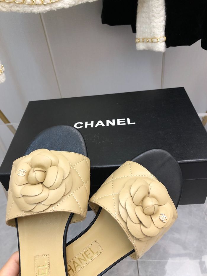 Chanel Shoes CHS00542 Heel 2.5CM
