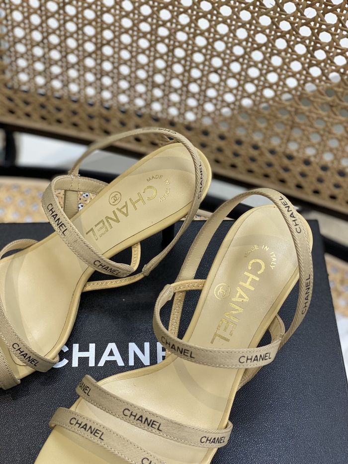 Chanel Shoes CHS00664