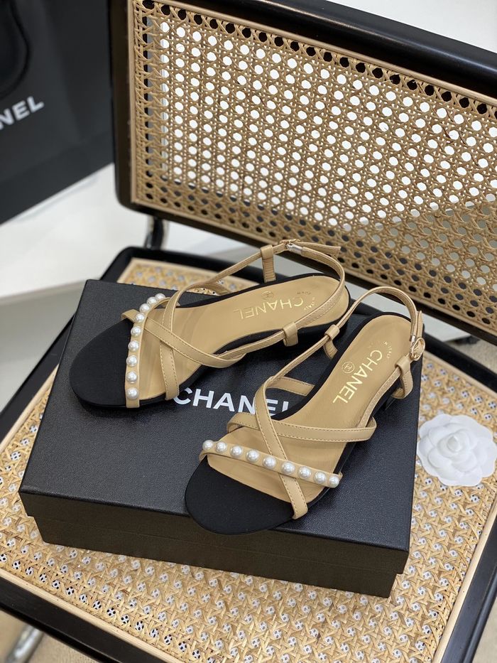 Chanel Shoes CHS00667