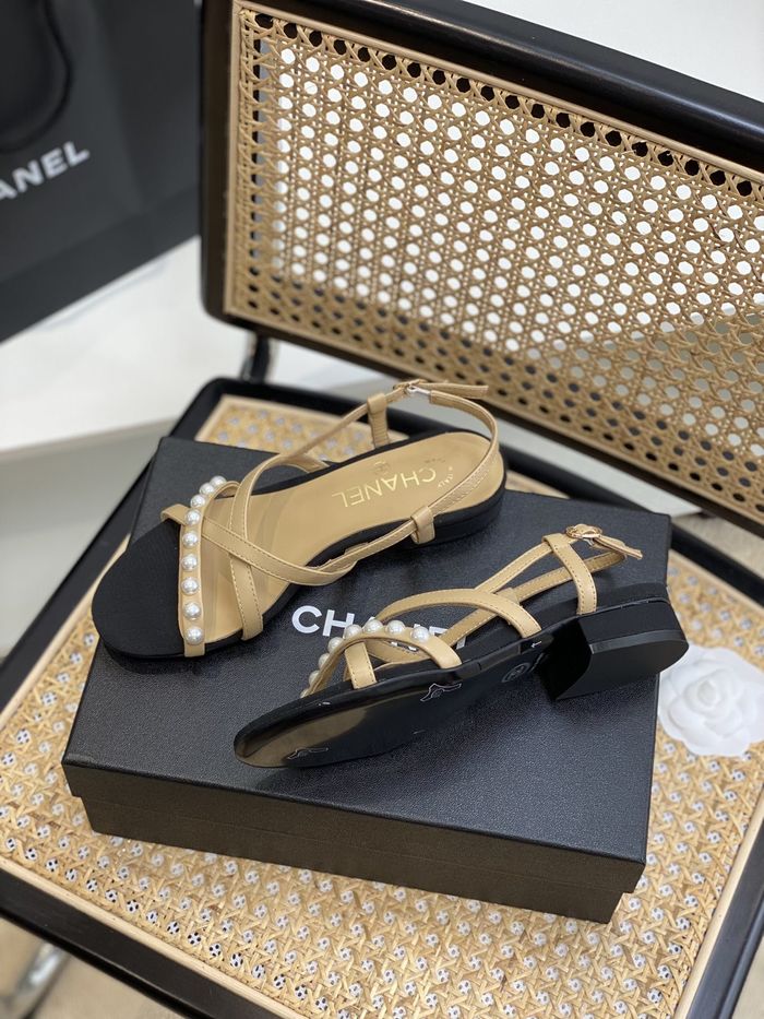 Chanel Shoes CHS00667