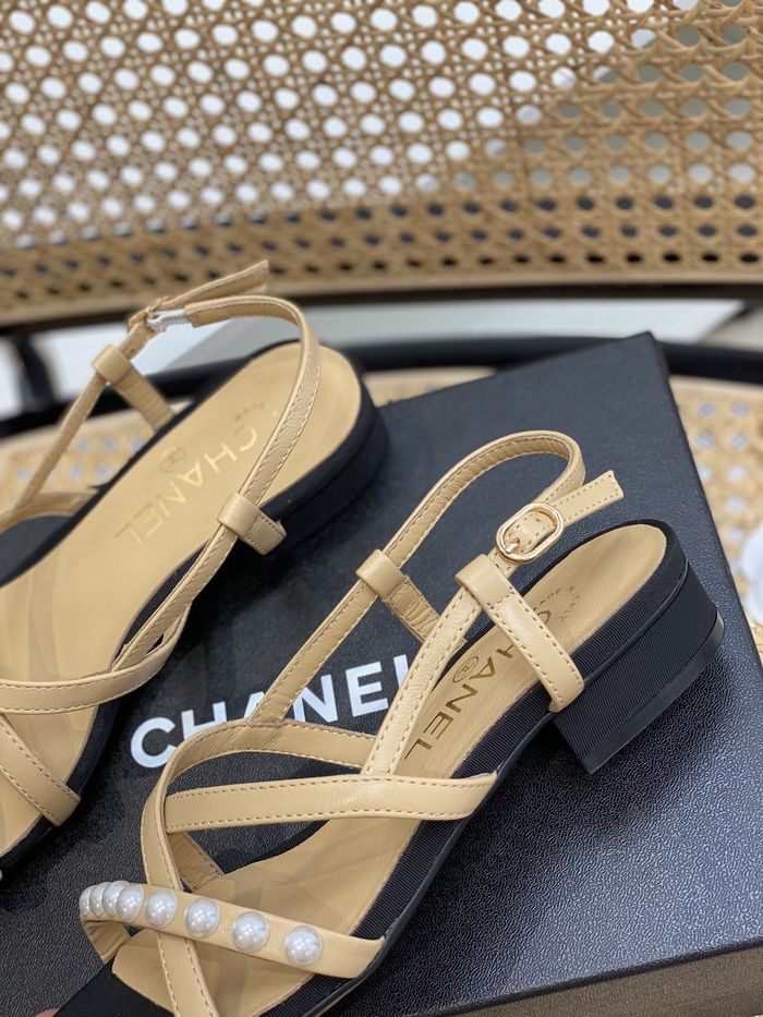 Chanel Shoes CHS00667