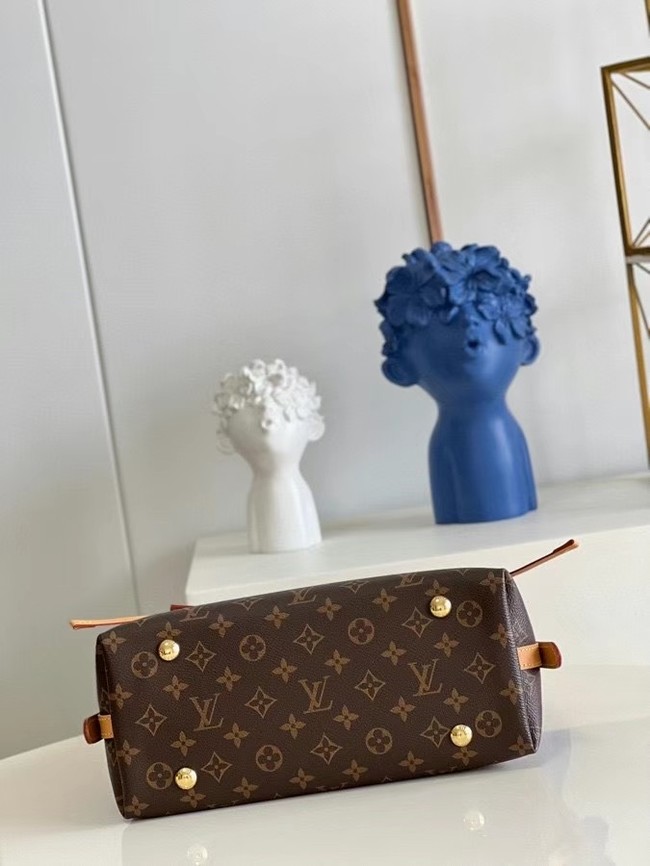 Louis Vuitton CARRYALL PM M46203