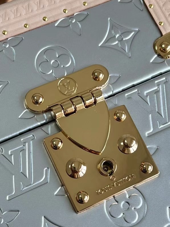 Louis Vuitton Monogram Vernis M10115 gray