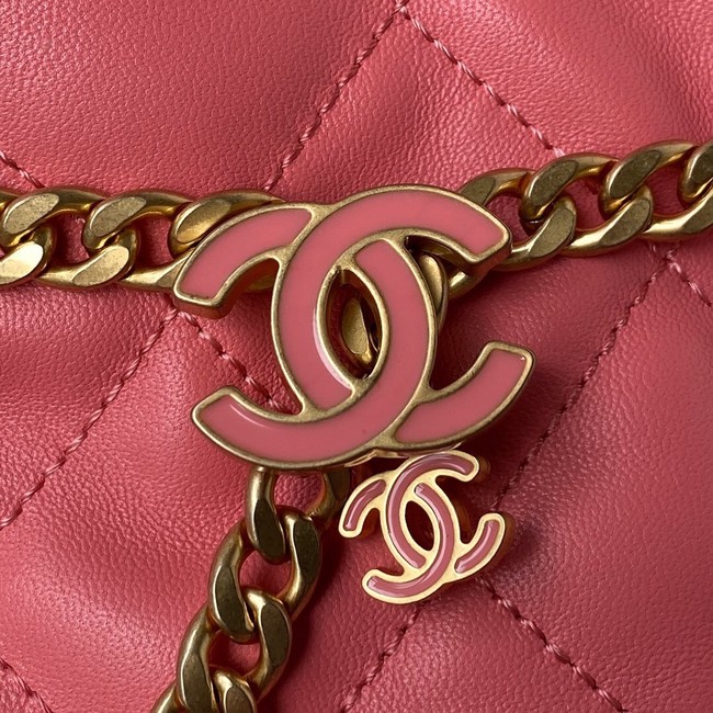 Chanel Drawstring Bag & Gold Metal AS3117 pink