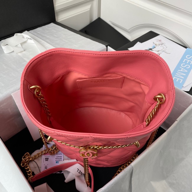 Chanel Drawstring Bag & Gold Metal AS3117 pink