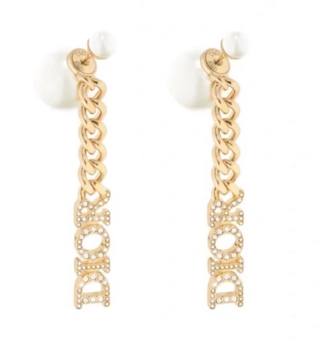 Dior Earrings CE8628