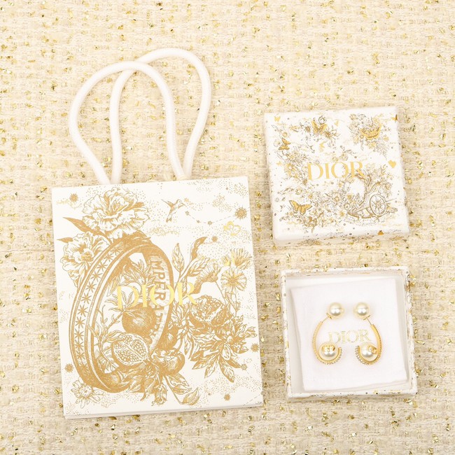 Dior Earrings CE8647