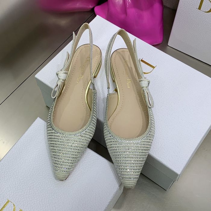 Dior Shoes DIS00008