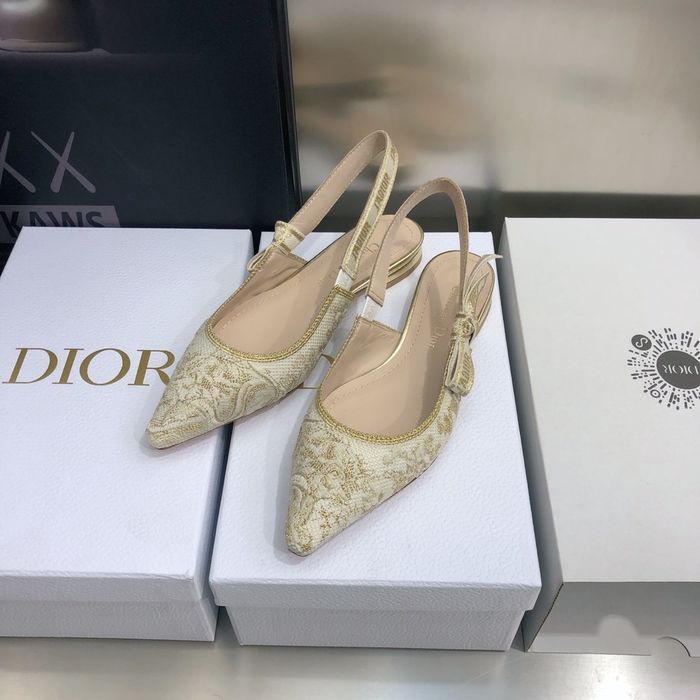 Dior Shoes DIS00052
