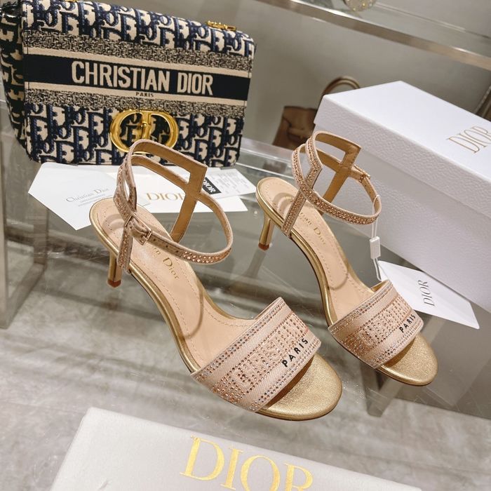 Dior Shoes DIS00095 Heel 6.5CM