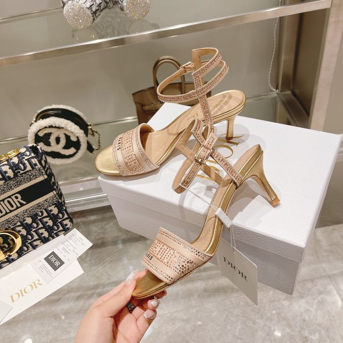 Dior Shoes DIS00095 Heel 6.5CM