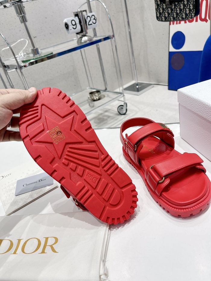 Dior Shoes DIS00113