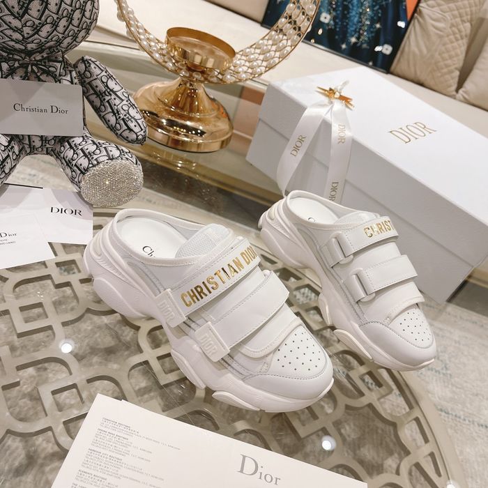 Dior Shoes DIS00117