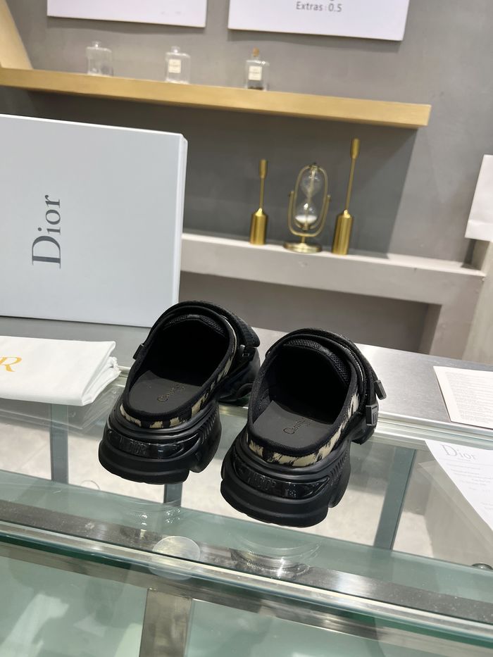 Dior Shoes DIS00124