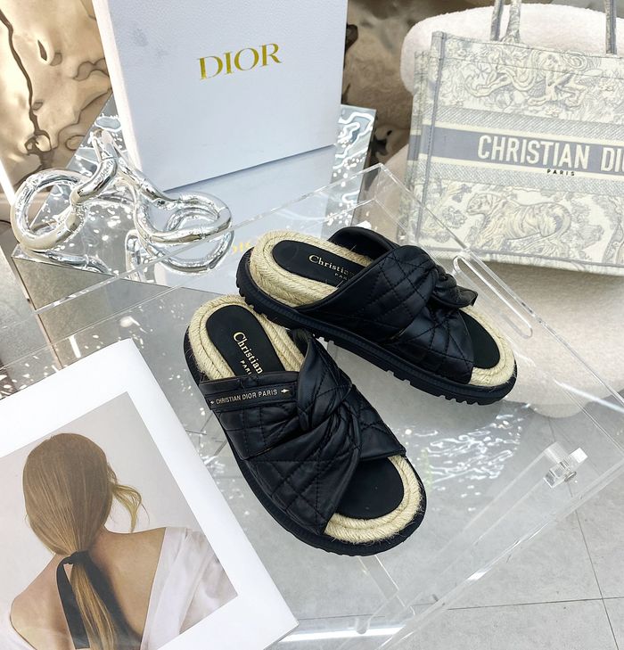 Dior Shoes DIS00125