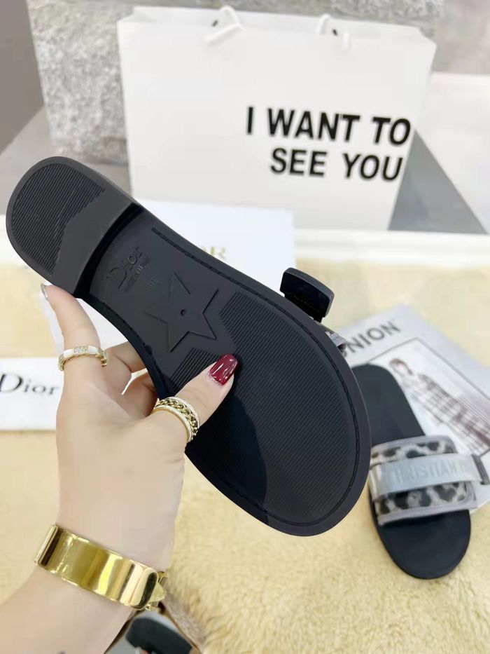 Dior Shoes DIS00149