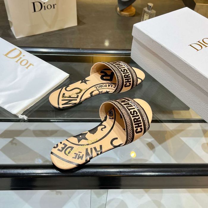 Dior Shoes DIS00154