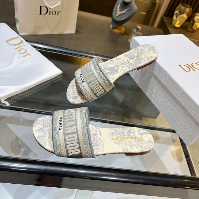 Dior Shoes DIS00156
