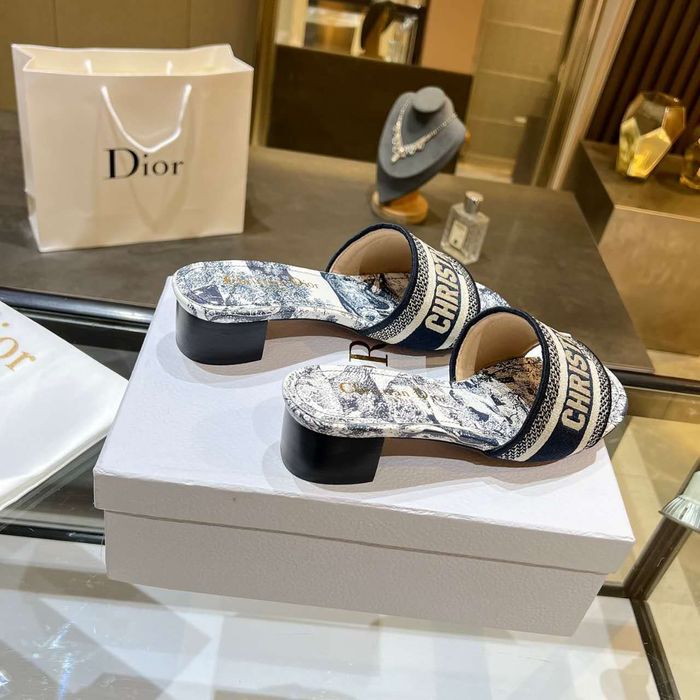 Dior Shoes DIS00166