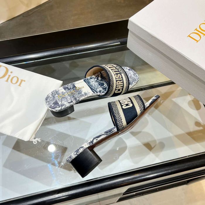 Dior Shoes DIS00166