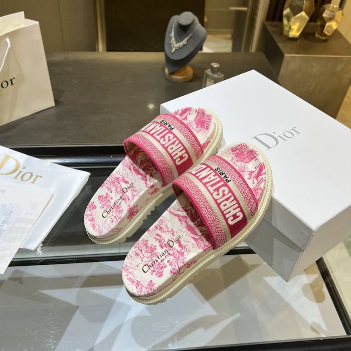 Dior Shoes DIS00167