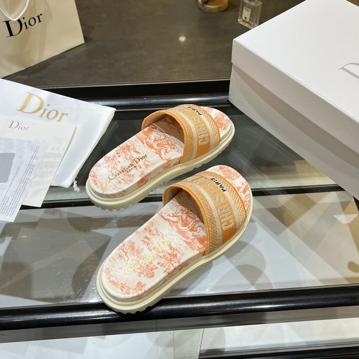 Dior Shoes DIS00168