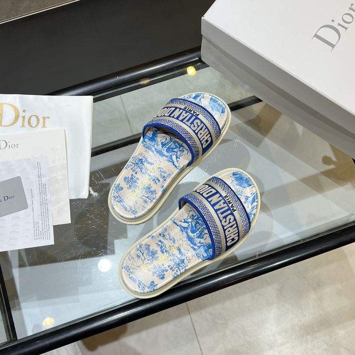 Dior Shoes DIS00169