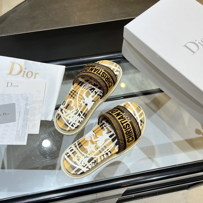 Dior Shoes DIS00170