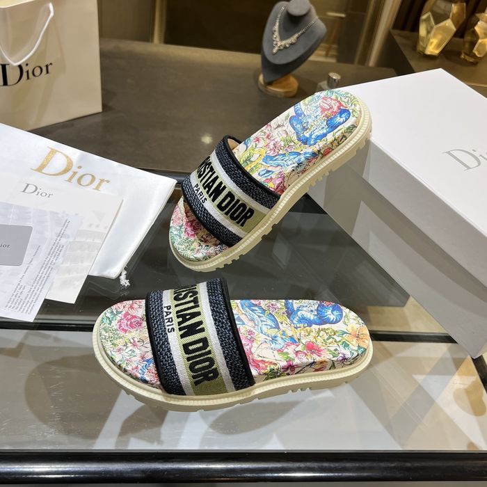Dior Shoes DIS00171