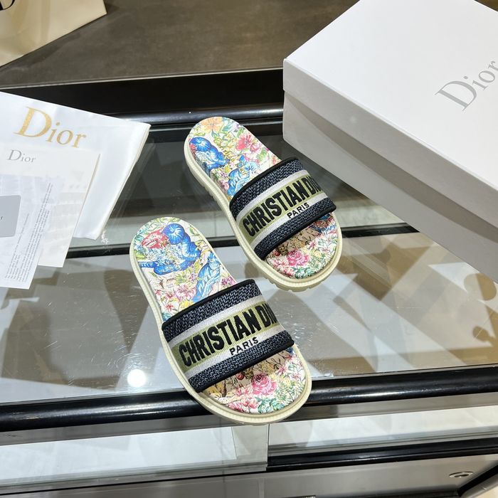 Dior Shoes DIS00171