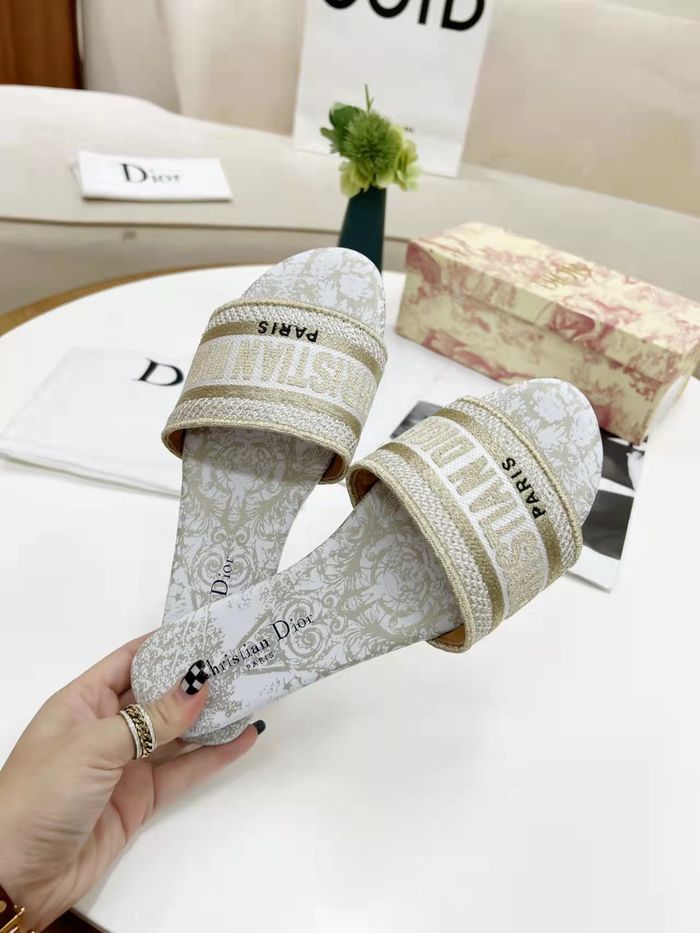 Dior Shoes DIS00178
