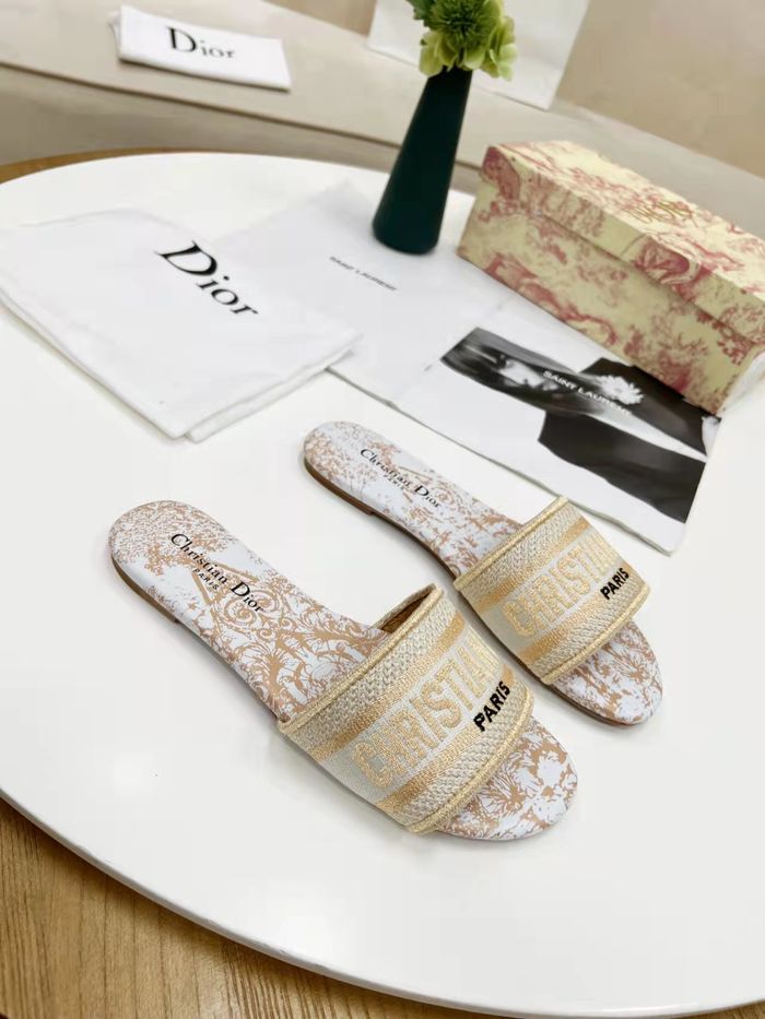Dior Shoes DIS00183