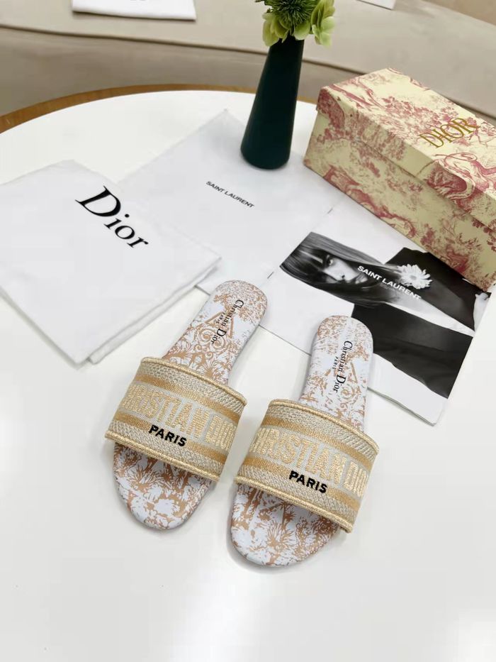 Dior Shoes DIS00183