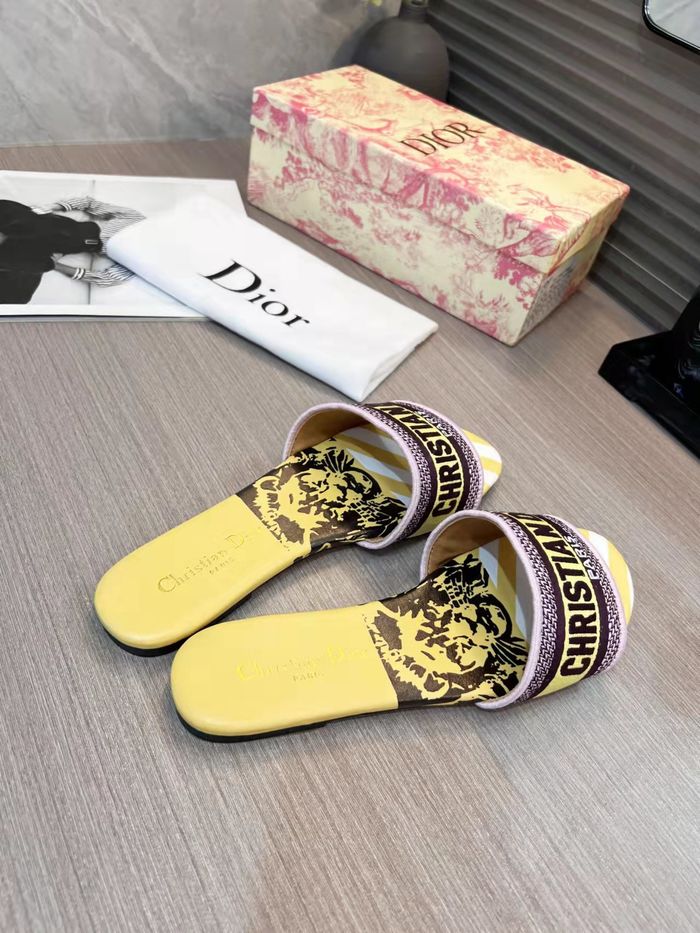 Dior Shoes DIS00192