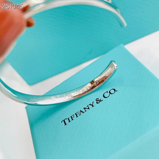 TIFFANY Bracelet CE8801