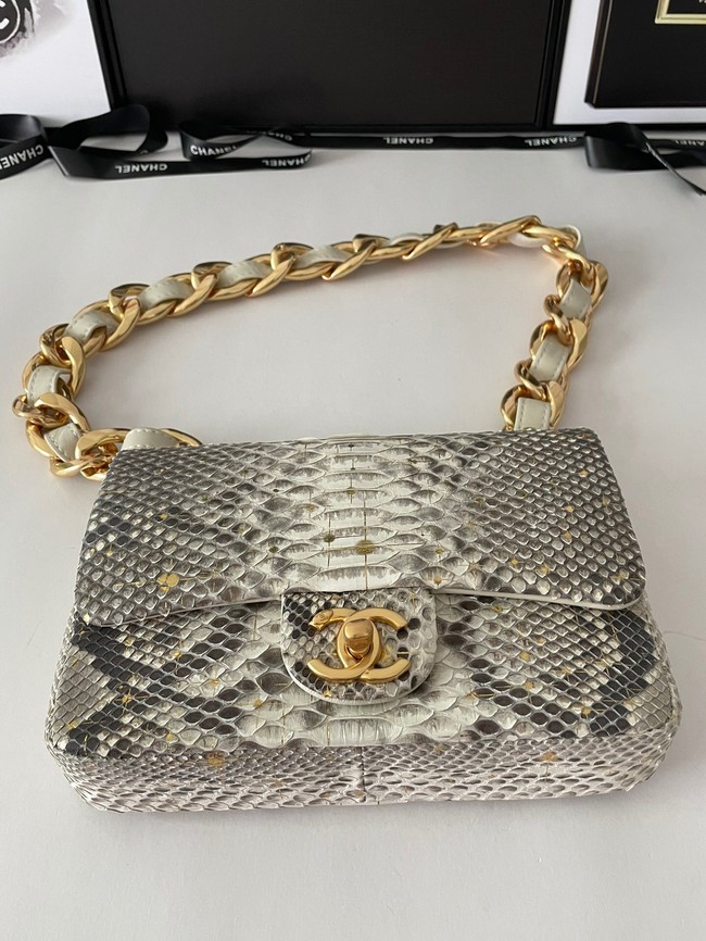 Chanel SMALL FLAP BAG Snakeskin & Gold-Tone Metal AS3214 gray