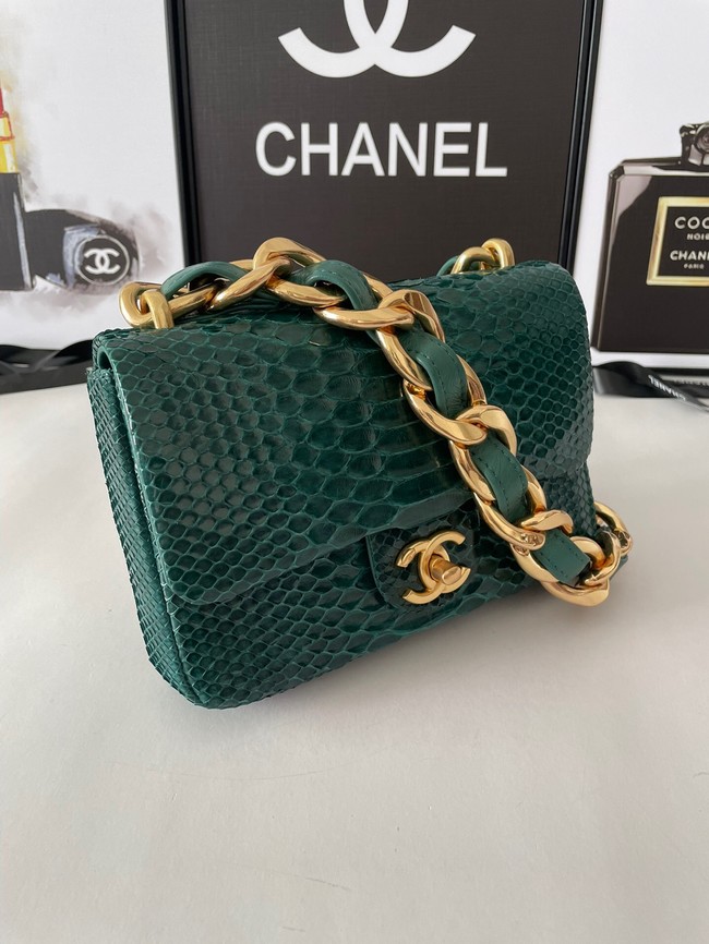 Chanel SMALL FLAP BAG Snakeskin & Gold-Tone Metal AS3214 green